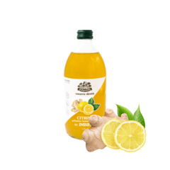 Lemon & Ginger Tea Concentrate Zolynelis 520ml