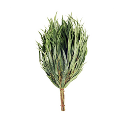 Eucalyptus Broom for Sauna