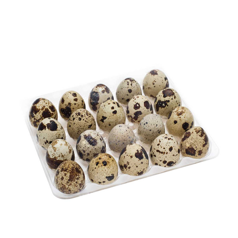 Quails Eggs 12pcs